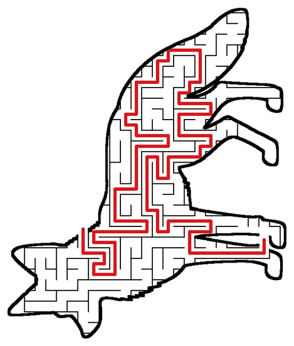 Solved Fox maze, the way through marked in red