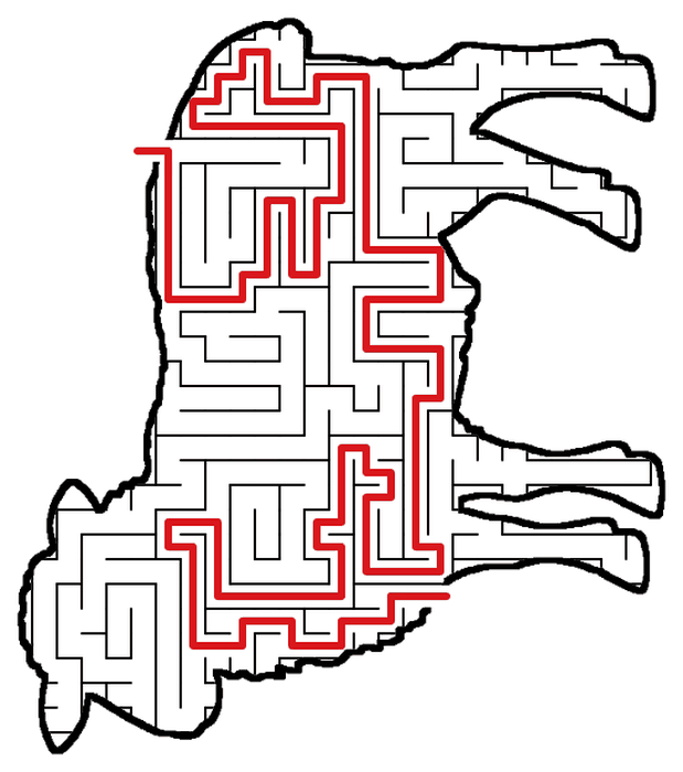 Solved Sheep maze, the way through marked in red