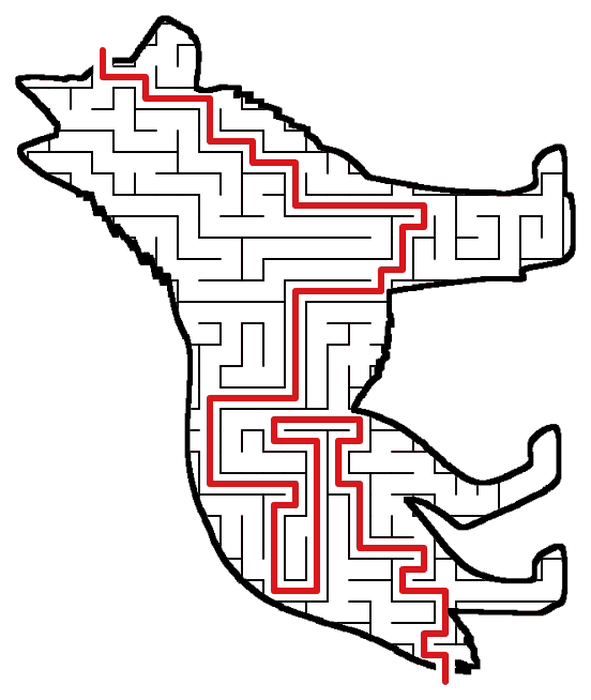 Solved Wolf maze, the way through marked in red