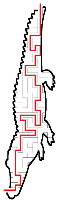 Solved Crocodile maze, the way through marked in red