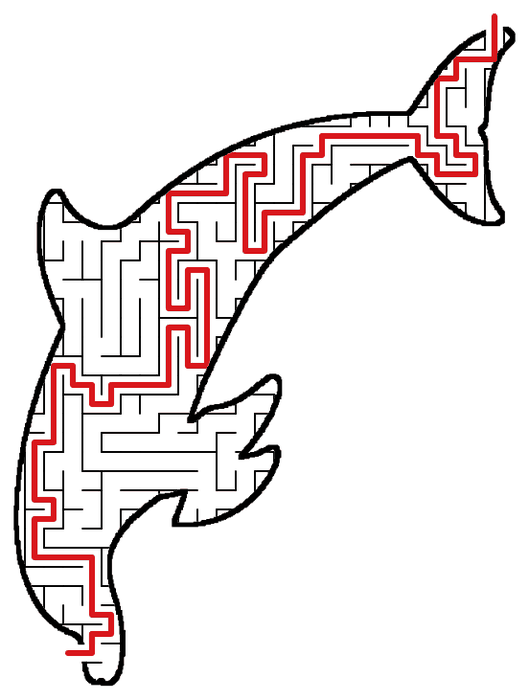Solved Dolphin maze, the way through marked in red