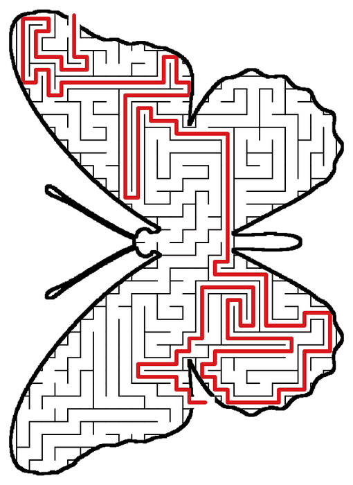 Solved Butterfly maze, the way through marked in red