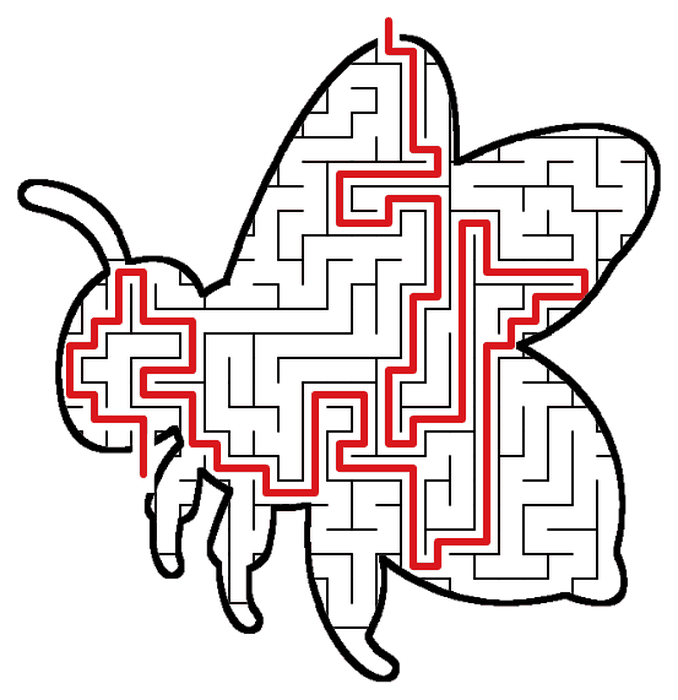Solved Bee maze, the way through marked in red