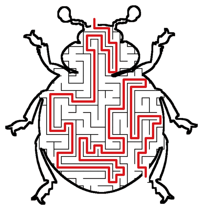 Solved Ladybug maze, the way through marked in red