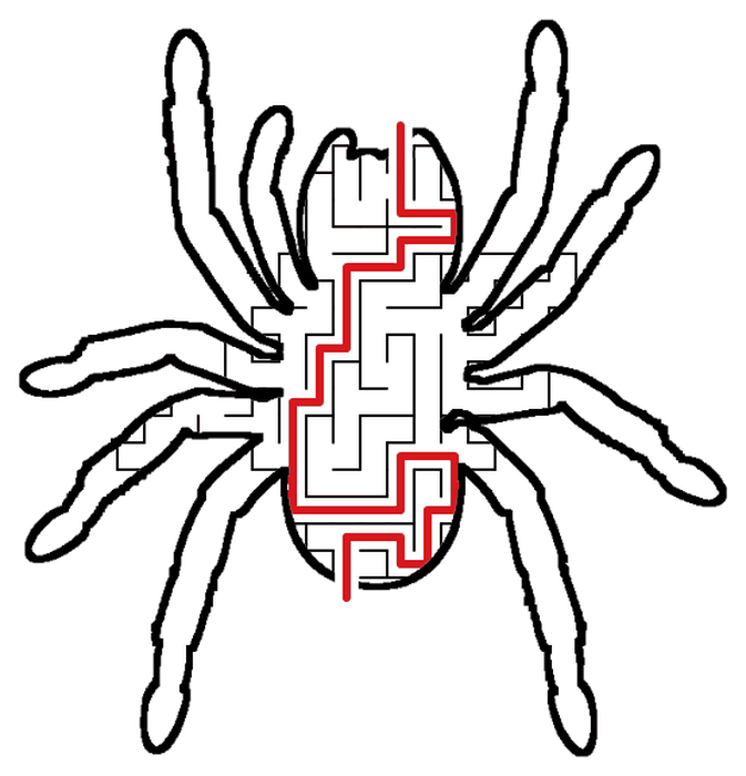Solved Spider maze, the way through marked in red