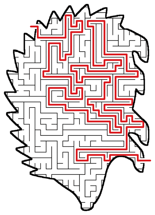 Solved Hedgehog maze, the way through marked in red