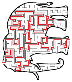Solved Elephant maze