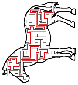Solved Zebra maze