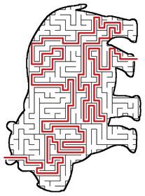 Solved Hippo maze