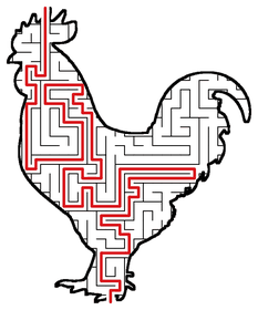 Solved Rooster maze