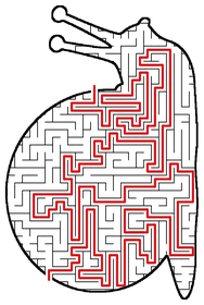 Solved Snail maze