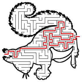Solved Squirrel maze