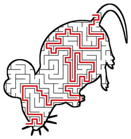 Solved Mouse maze