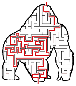 Solved Gorilla maze